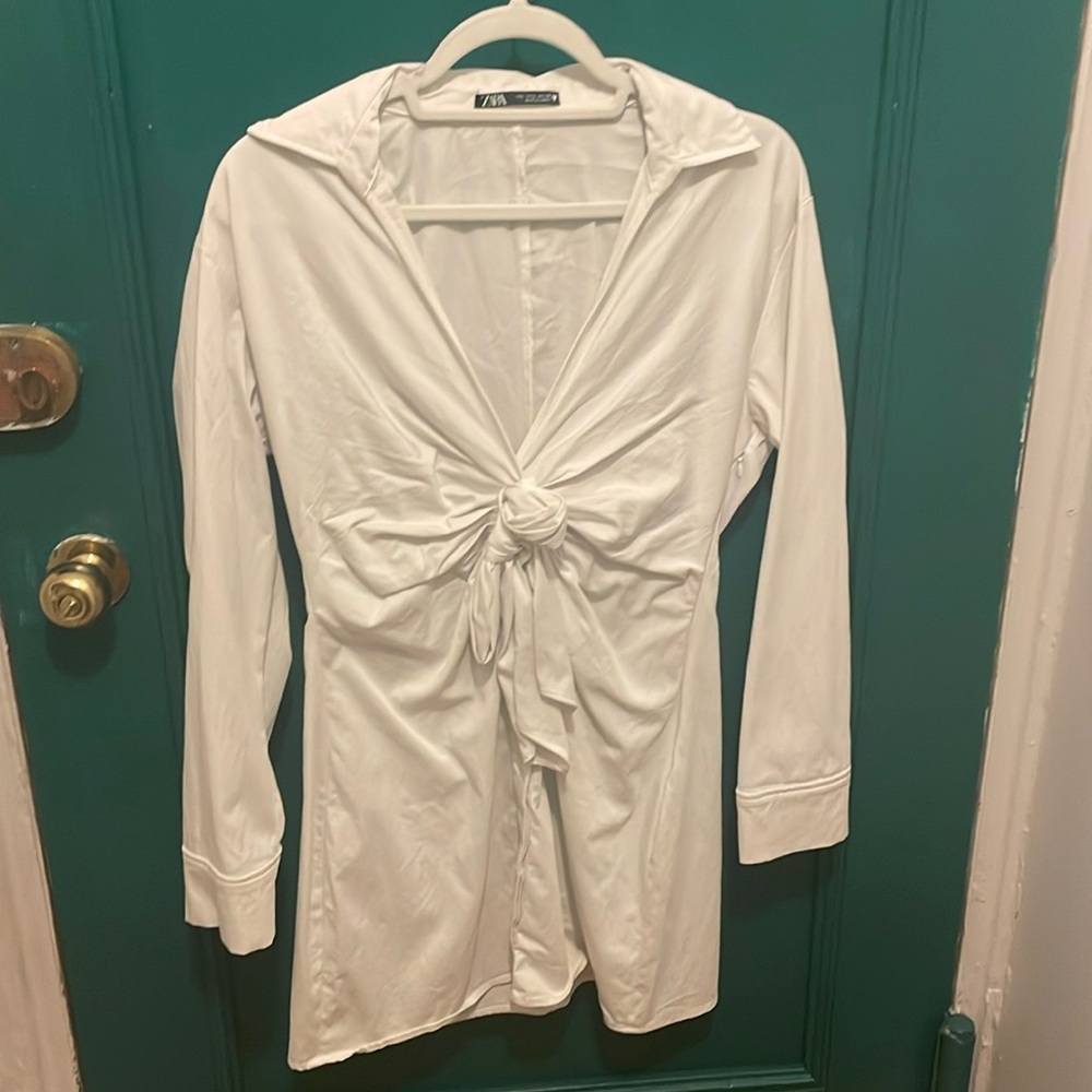 Zara button down dress